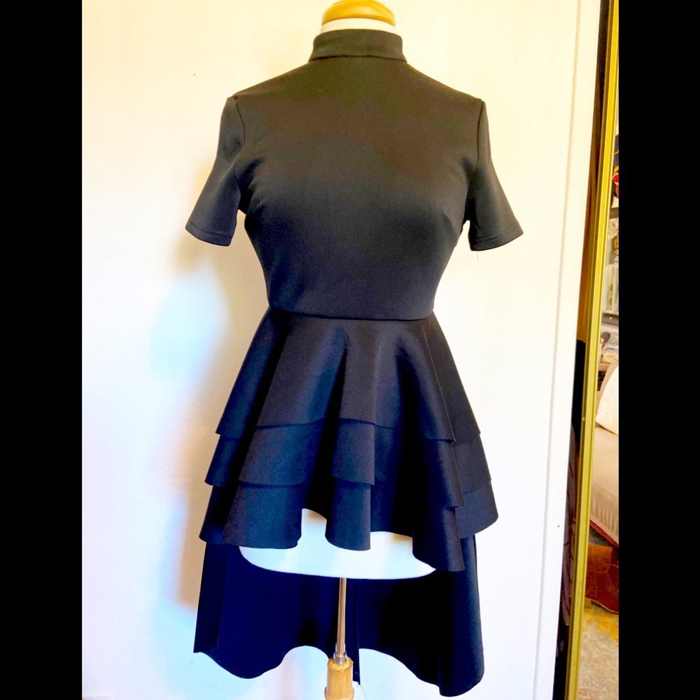 Point knit Peplum turtle neck top